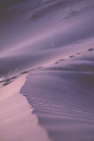 Purple sand dunes in the desert at nightfall. Detail close up on the dune ridge.