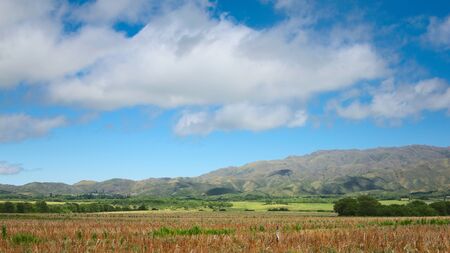 Harvested corn field in San Luis, Argentina.