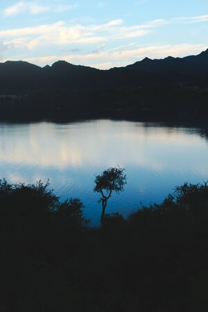Lone spiny tree silhouetted against the  twilight sky reflections over lake Potrero de los Funes, in...