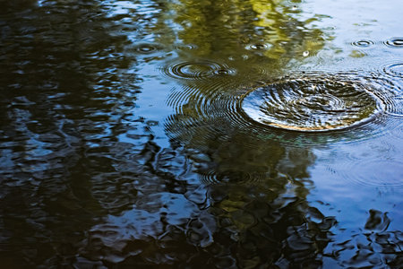 Splash and ripples on calm, clear water of a pond with reflections of trees.の写真素材