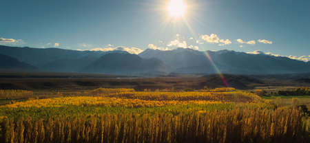 Sunny autumn afternoon by the Andes mountains in the valley of Uspallata, province of Mendoza, Argentina.の写真素材