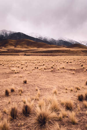 Dry grassland with rolling hills by the snowy Andes mountains in Valle de Uco, Mendoza, Argentina,...