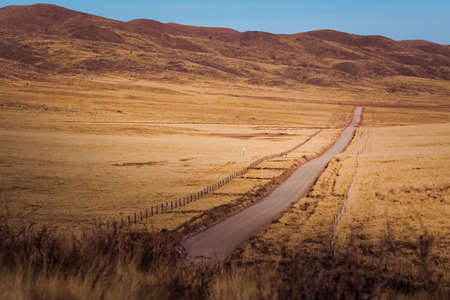 Empty dirt road across an arid steppe near Tupungato, province of Mendoza, Argentina.の写真素材