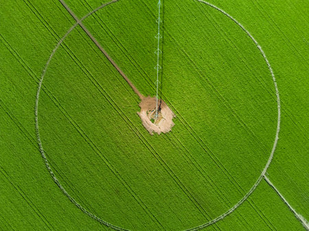 Soybean plantation, circular field with automated irrigation equipment.の写真素材