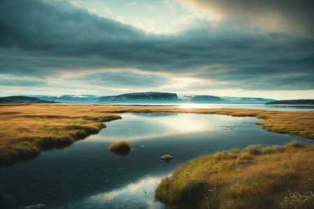 Beautiful seascape of fjord in Iceland. Toned.の素材