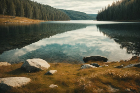 Mountain lake in the middle of coniferous forest. Beautiful landscape.の素材