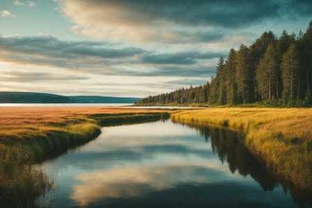 Beautiful landscape with a lake and a forest in the background at sunsetの素材