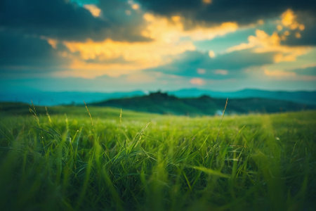 Green grass field and blue sky at sunset. Beautiful nature background.の素材