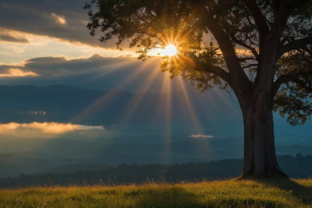 Sunset in the mountains with a tree and sunbeams.の素材
