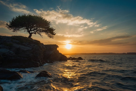 Beautiful sunset over the sea with a lonely tree in the foregroundの素材