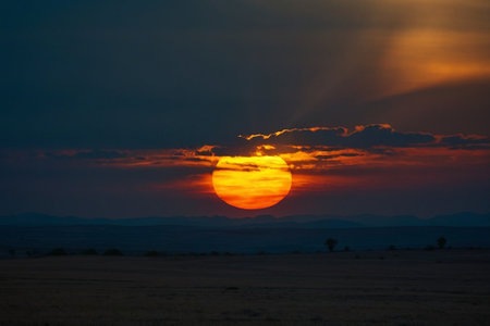 Sunset in the Okavango Delta, Botswana, Africaの素材