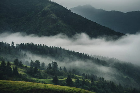 Foggy morning in the Carpathian mountains, Ukraine.の素材