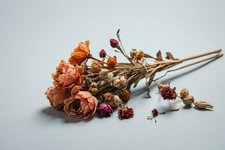 Dried flowers on a white background. Dry flowers on a white background.の素材