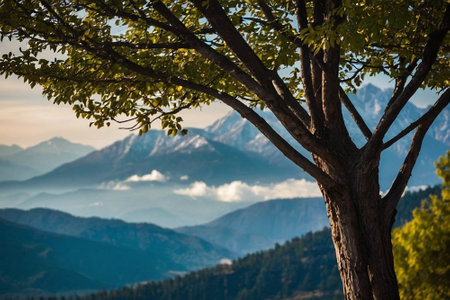 Mountain landscape with a tree in the foreground and the blue skyの素材
