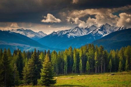 Mountain landscape with pine forest and cloudy sky. Ukraine, Europe.の素材
