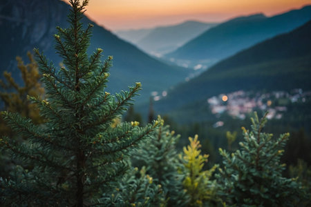 Fir tree in the mountains at sunset. Tatra Mountains, Polandの素材