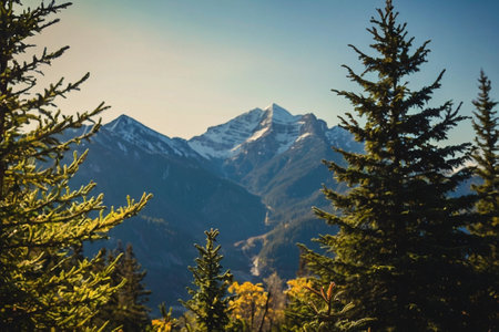 Mountain landscape with fir trees and snow covered peaks at sunset.の素材