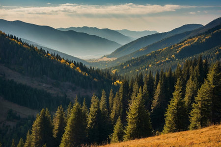 Mountain landscape with coniferous forest in the morning light.の素材