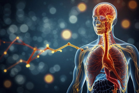 Human body with highlighted heart and medical background. 3D Renderingの素材