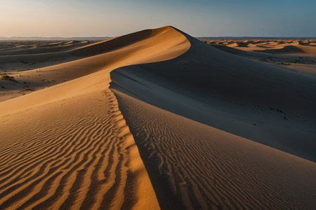 Maspalomas dunes, Gran Canaria, Canary Islands, Spainの素材
