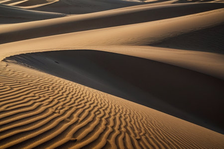 Sand dunes in the Sahara desert, Merzouga, Moroccoの素材