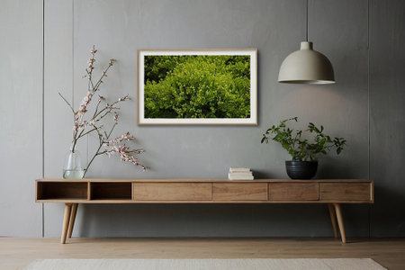 Interior of modern living room with wooden commode, plant and wallの素材