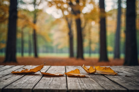 Empty table in the autumn forest with fallen leaves. Selective focus.の素材