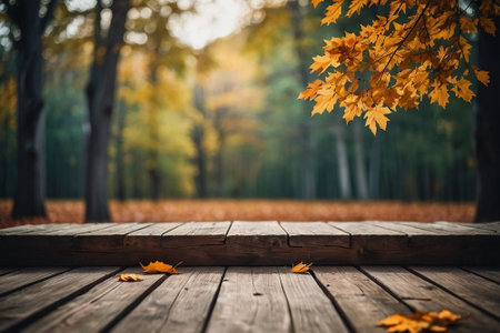 Wooden table and autumn leaves on a background of autumn forest.の素材