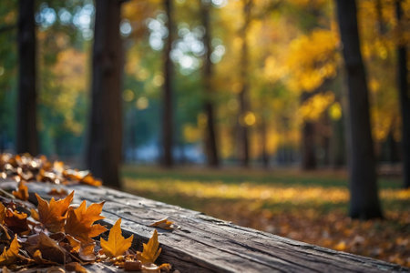 Autumn leaves on a wooden bench in the park. Autumn backgroundの素材