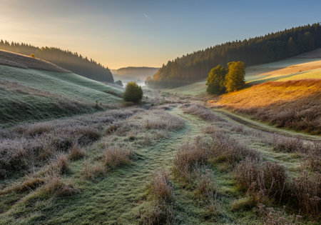 Misty morning in the Carpathian mountains. Ukraine, Europeの写真素材