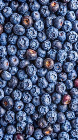 Blueberries background. Top view of fresh ripe blueberries with copy space.