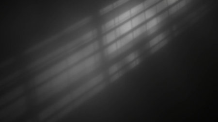 Sunlight through the blinds on the wall, black and whiteの写真素材