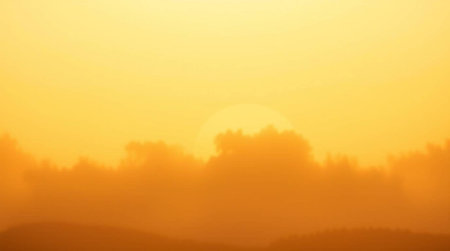 Foggy sunrise over the forest in the morning. Nature backgroundの写真素材