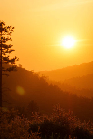 Beautiful sunset in the mountains with coniferous forest and mountainsの写真素材