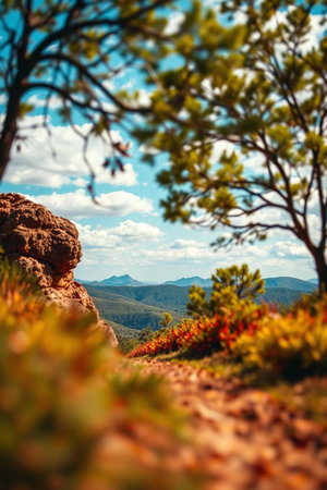 Autumn mountain landscape with colorful trees and rocks. Selective focus.