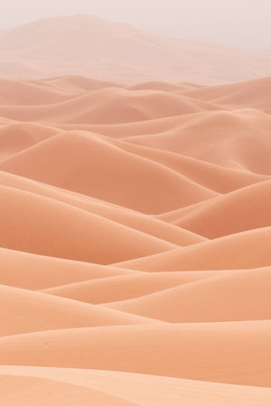 sand dunes in the desert of morocco saharaの写真素材