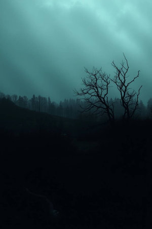 Dramatic dark landscape with fog and trees in the foreground.の写真素材