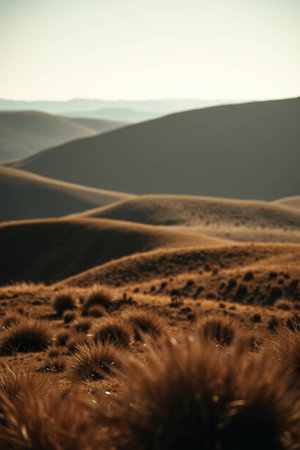 Sand dunes at sunsetの写真素材