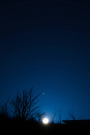 Moonlight in the night sky and silhouette of a tree. Long exposure.の写真素材