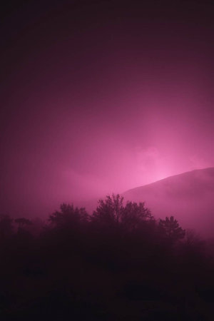 Foggy night in the mountains with silhouettes of trees.の写真素材