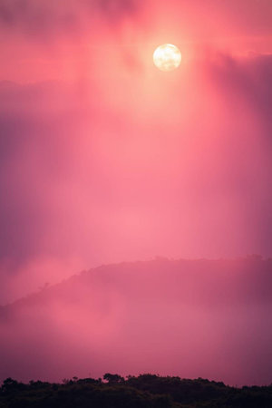Sunrise on the mountain with fog in the morningの写真素材