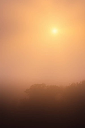 Foggy sunrise in the morning. Landscape of foggy sunrise.の写真素材