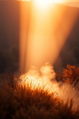 Smoke from a fire in the forest at sunset. Shallow depth of fieldの写真素材