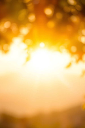 Autumn blurred background with bokeh defocused lights and trees