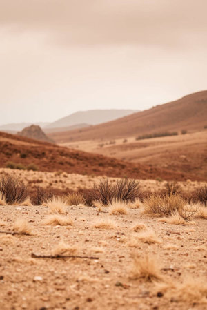 Desert landscape in the Namib-Naukluft National Park, Namibiaの写真素材