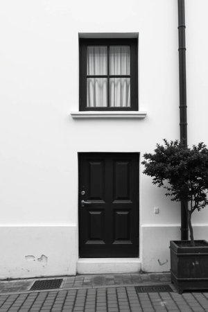 Black door and window on white wall, black and white tone.の写真素材