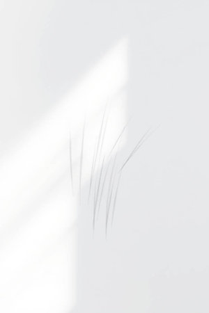 Shadow of grass on a white wall. Abstract background for design.