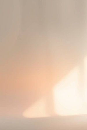 Blurred shadow on the wall, abstract background for your design.の写真素材