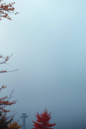 Maple trees in foggy autumn morning with copy space for text