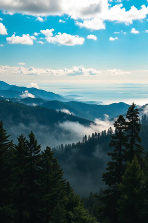 View from the top of the mountain to the foggy valley.の写真素材
